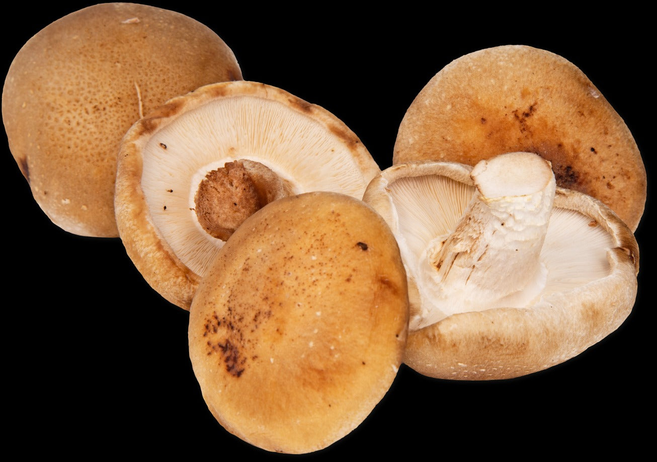 Shiitake Mushrooms