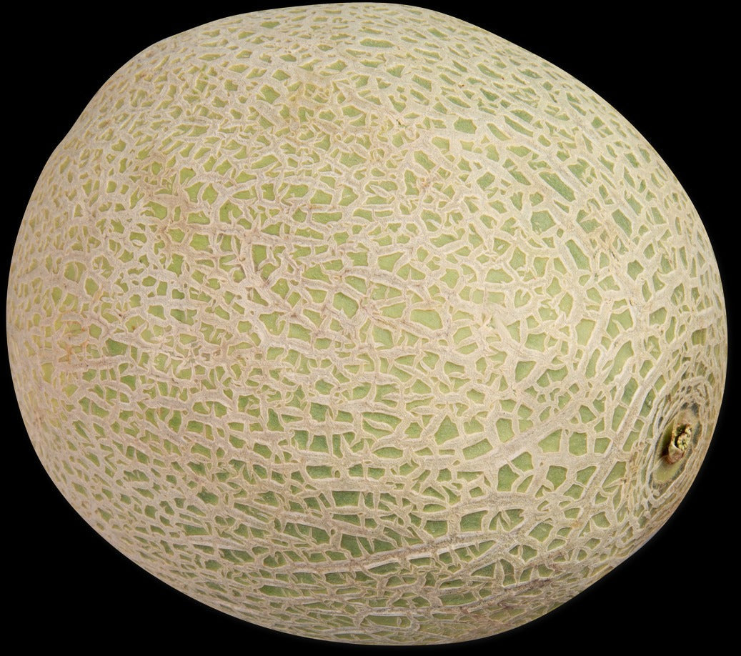 Cantaloupe