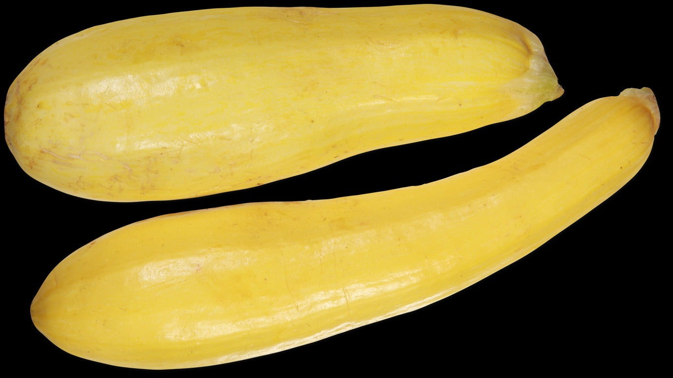Yellow Squash