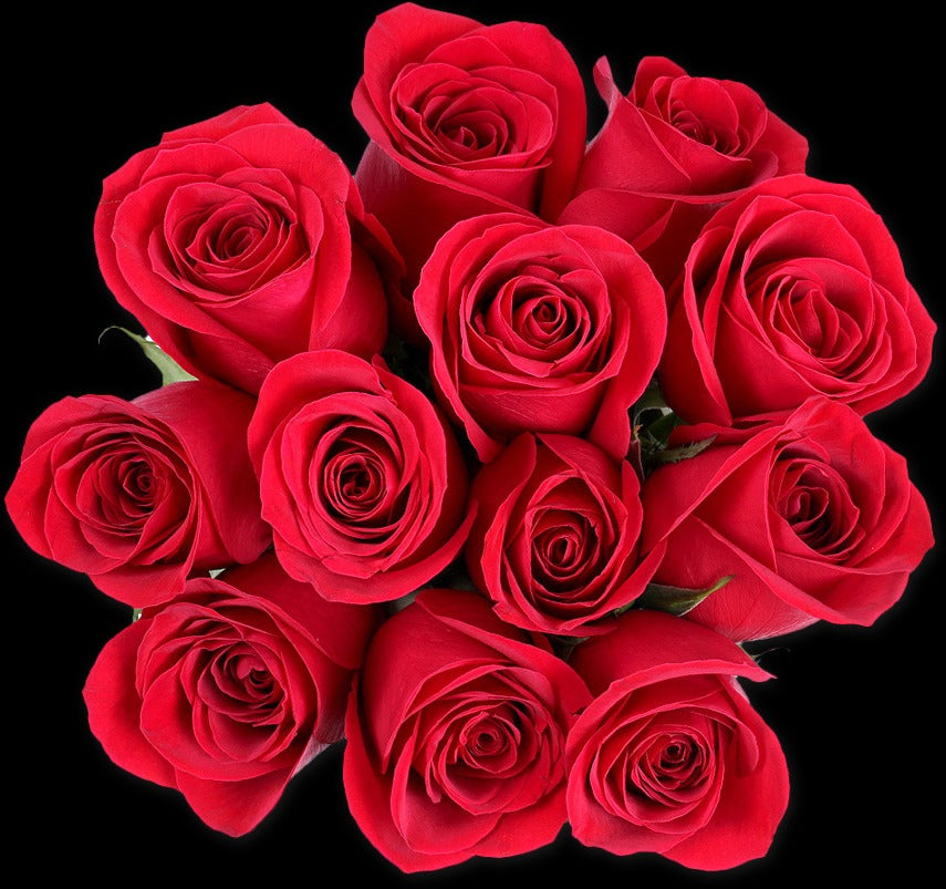 Dozen Red Roses