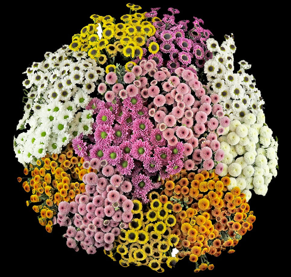 Dotty Micro Poms Bunch