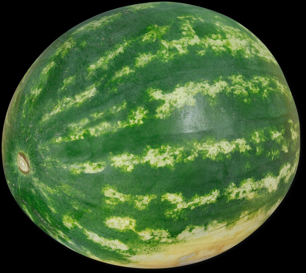 Seedless Watermelon