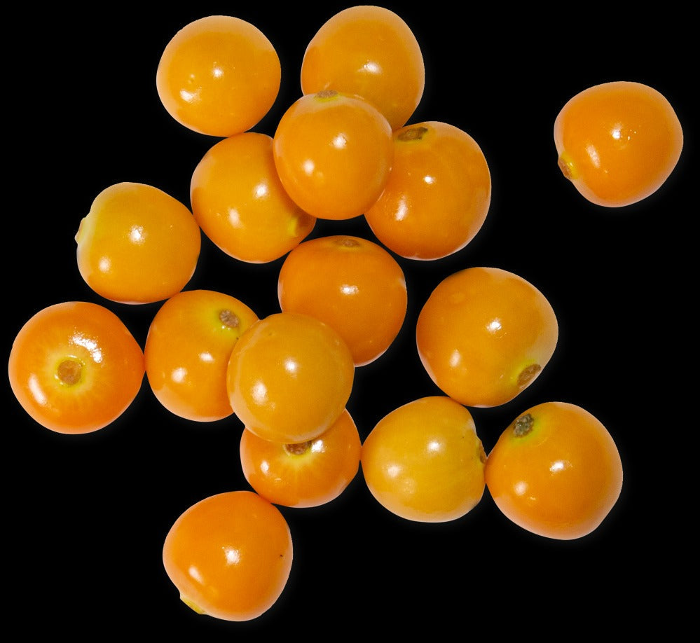 Cape Gooseberries