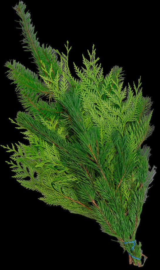 Holiday Greens Bunch