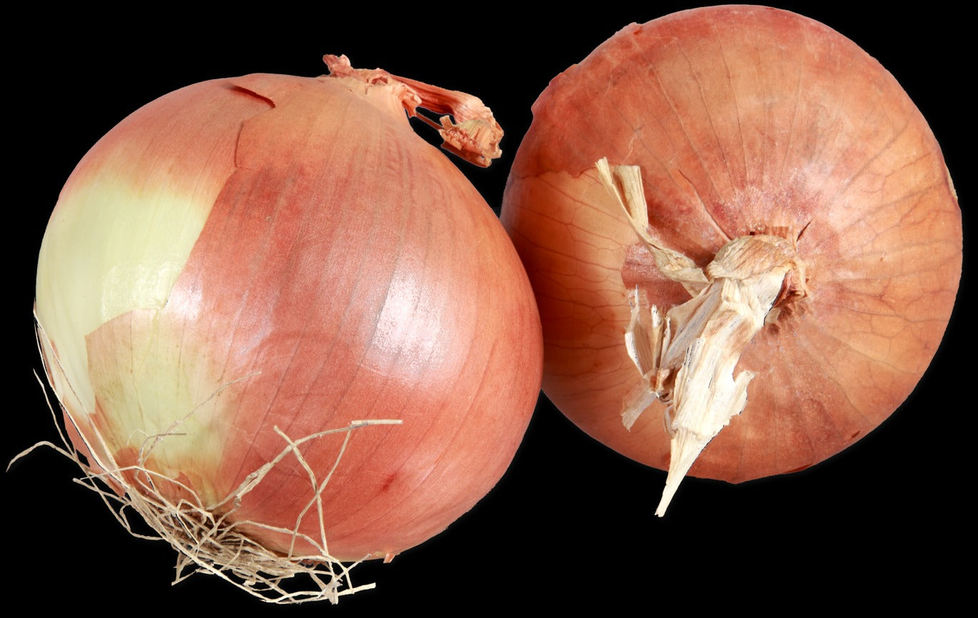 Jumbo Yellow Onions